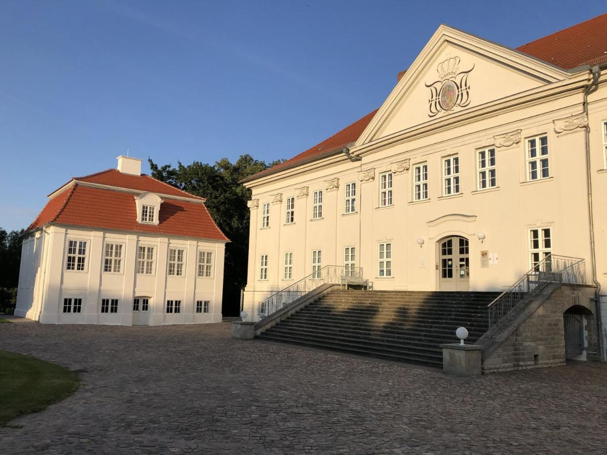 Bungalows Am Waldessaum Bei Hohenzieritz Eksteriør billede